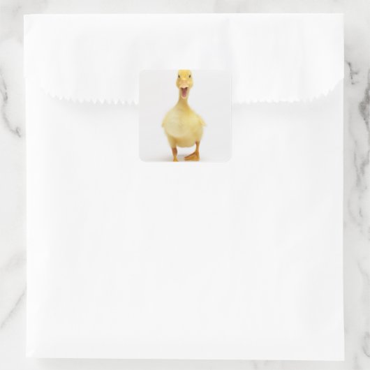 Duckling Quadratischer Aufkleber (Tasche)