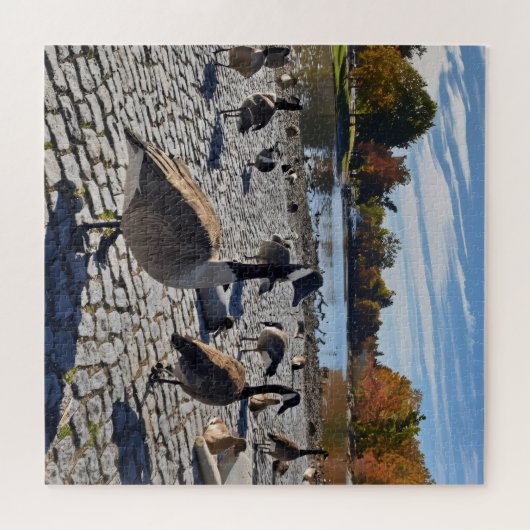 Duckling Serenity Puzzle (Horizontal)