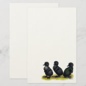 Ducklings Black Cayuga Briefpapier (Vorne/Hinten)