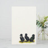 Ducklings Black Cayuga Briefpapier (Stehend Vorderseite)