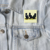 Ducklings Black Cayuga Button (Beispiel)