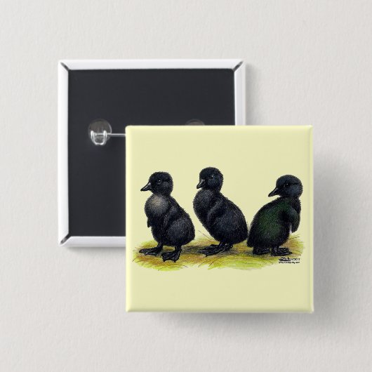 Ducklings Black Cayuga Button (Vorne & Hinten)