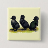 Ducklings Black Cayuga Button (Vorderseite)