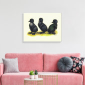 Ducklings Black Cayuga Leinwanddruck (Insitu (Wohnzimmer))