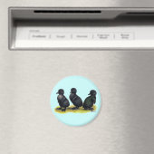 Ducklings Black Cayuga Magnet (In Situ (Geschirrspüler))