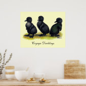Ducklings Black Cayuga Poster (Küche)