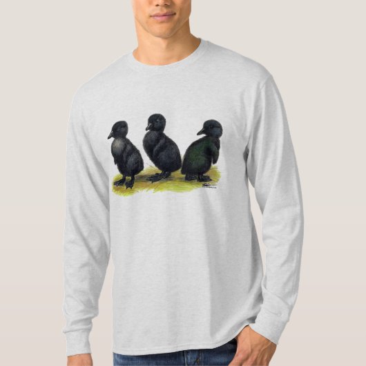 Ducklings Black Cayuga T-Shirt (Vorderseite)