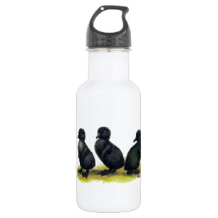 Ducklings Black Cayuga Trinkflasche