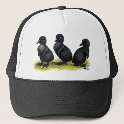 Ducklings Black Cayuga Truckerkappe (Vorderseite)