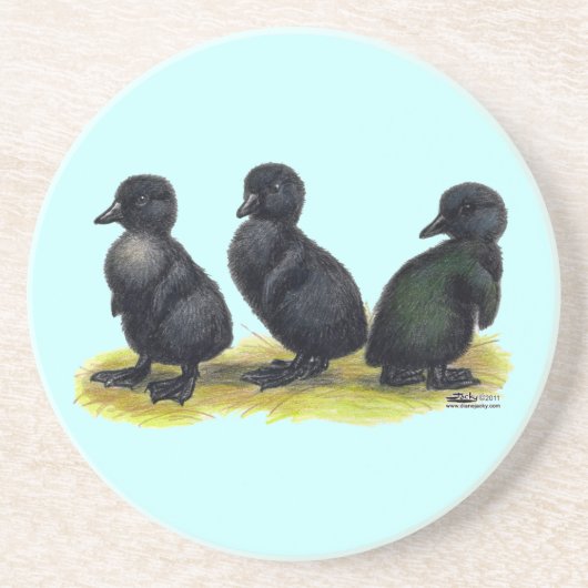 Ducklings Black Cayuga Untersetzer (Vorne)
