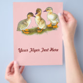 Ducklings: Buff Orpingtons Flyer (Hand)