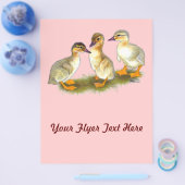 Ducklings: Buff Orpingtons Flyer (Einzeln)