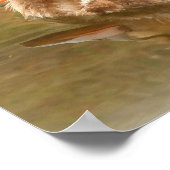 Ducklings Christliches Poster (Ecke)