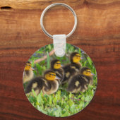 Ducklings Foto Schlüsselanhänger (Rückseite)