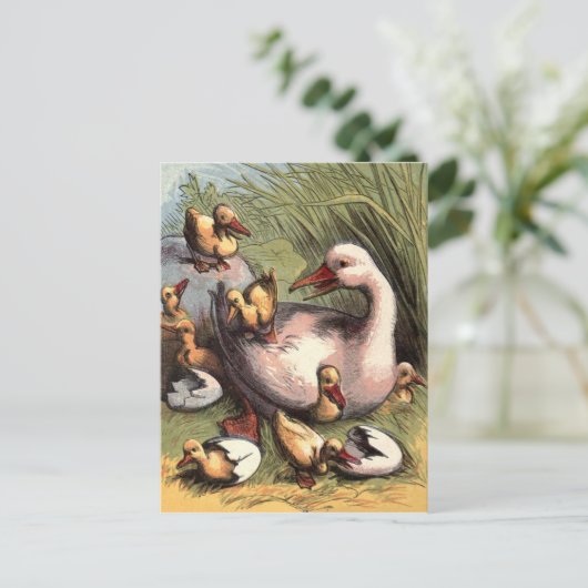 Ducklings gerade Hatched Vintage Image Postkarte (Stehend Vorderseite)