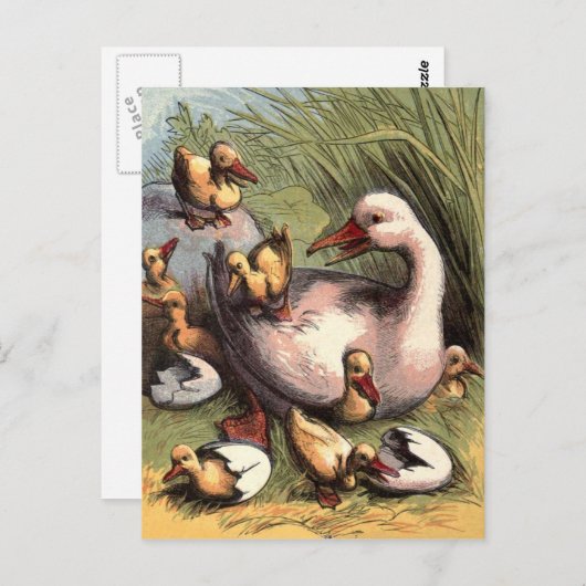 Ducklings gerade Hatched Vintage Image Postkarte (Vorne/Hinten)