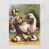 Ducklings gerade Hatched Vintage Image Postkarte (Vorderseite)