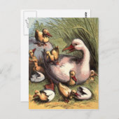 Ducklings gerade Hatched Vintage Image Postkarte (Vorne/Hinten)