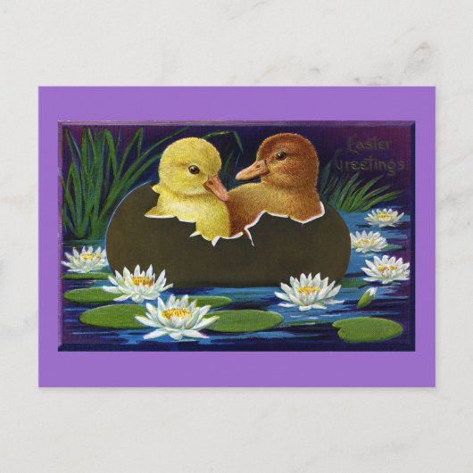 Ducklings in Eggshell Boat with Water Lilis Postkarte (Vorderseite)