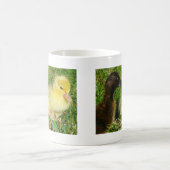 Ducklings Kaffeetasse (Mittel)