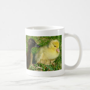 Ducklings Kaffeetasse