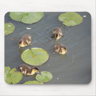 Ducklings-Mauspad Mousepad