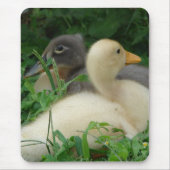 Ducklings Mousepad (Vorne)