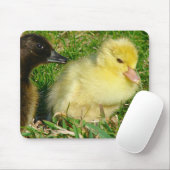Ducklings Mousepad (Mit Mouse)