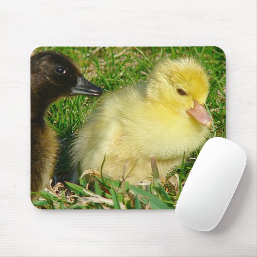 Ducklings Mousepad (Mit Mouse)