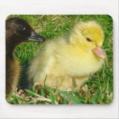 Ducklings Mousepad (Vorne)