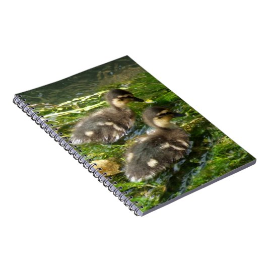 Ducklings-Notebook Notizblock (Rechte Seite)