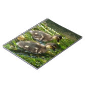 Ducklings-Notebook Notizblock (Linke Seite)