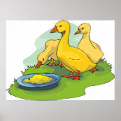 Ducklings Poster (Vorne)