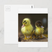 Ducklings Postkarte (Vorne/Hinten)