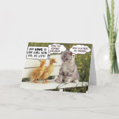 Ducklings und Kitten Karte (Vorderseite)