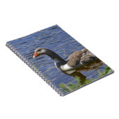 DuckNotebook Notizblock (Rechte Seite)