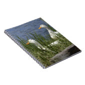 DuckNotebook Notizblock (Rechte Seite)