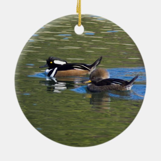 Duckpartei Keramikornament (Hinten)