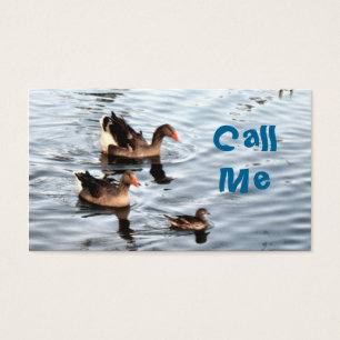 Ducks