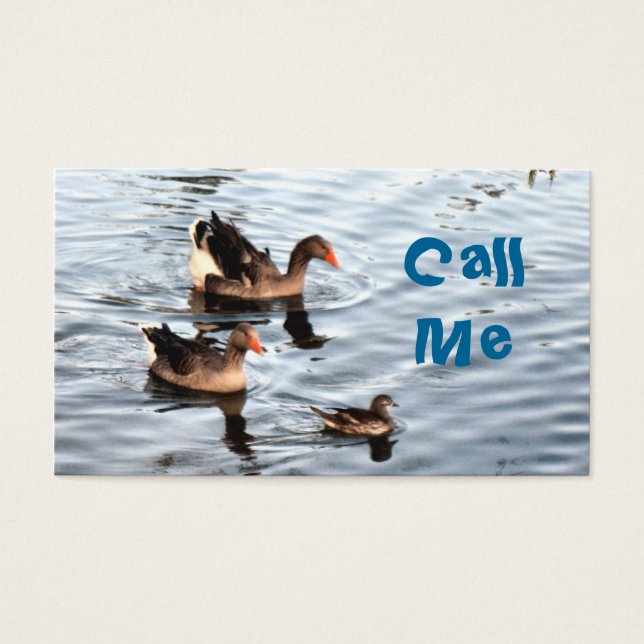 Ducks (Vorderseite)