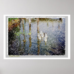 Ducks Aquarelldruck Poster