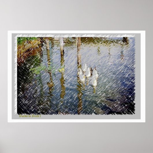 Ducks Aquarelldruck Poster (Vorne)