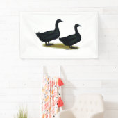 Ducks: Black Cayugas Banner (Insitu)