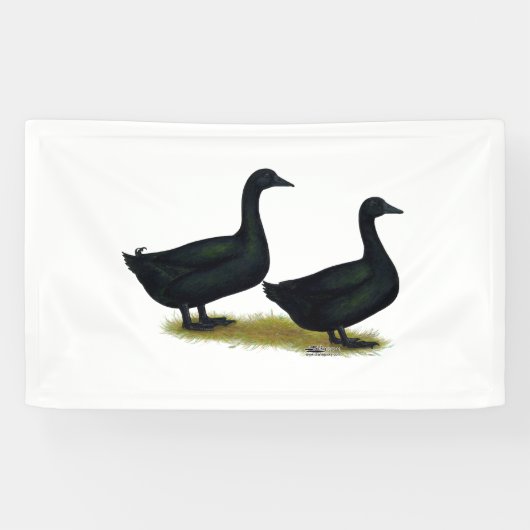 Ducks: Black Cayugas Banner (Horizontal)