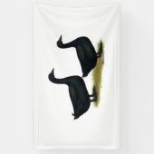 Ducks: Black Cayugas Banner (Vertikal)