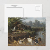 Ducks by Stream by Carl Jutz Postkarte (Vorne/Hinten)