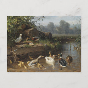 Ducks by Stream by Carl Jutz Postkarte