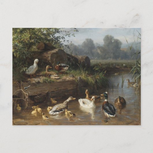 Ducks by Stream by Carl Jutz Postkarte (Vorderseite)