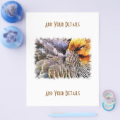 DUCKS FLYER (Einzeln)