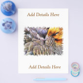 DUCKS FLYER (Einzeln)